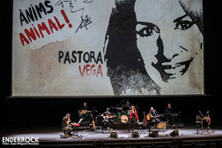 Concerts Ànims Animal, L'Espiadimonis, Guillamino i Joan Isaac amb Sívia Comes al Barnasants <p>Ànims Animal<br></p>